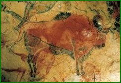 Peinture rupestre d’un bison