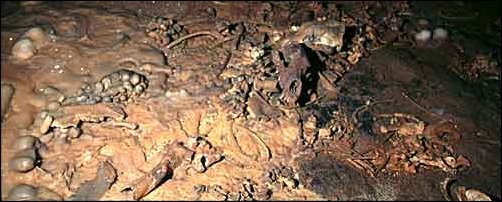 Des ossements retrouvés dans une grotte
