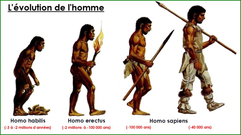 L'évolution physique des hommes préhistoriques