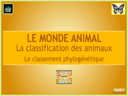 Le monde animal : la classification phylogénétique