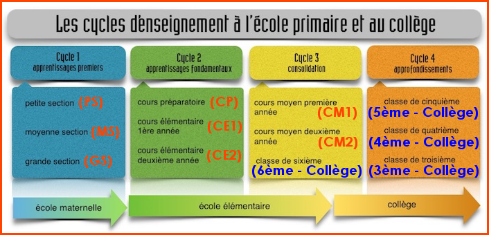 Les cycles de l'école française