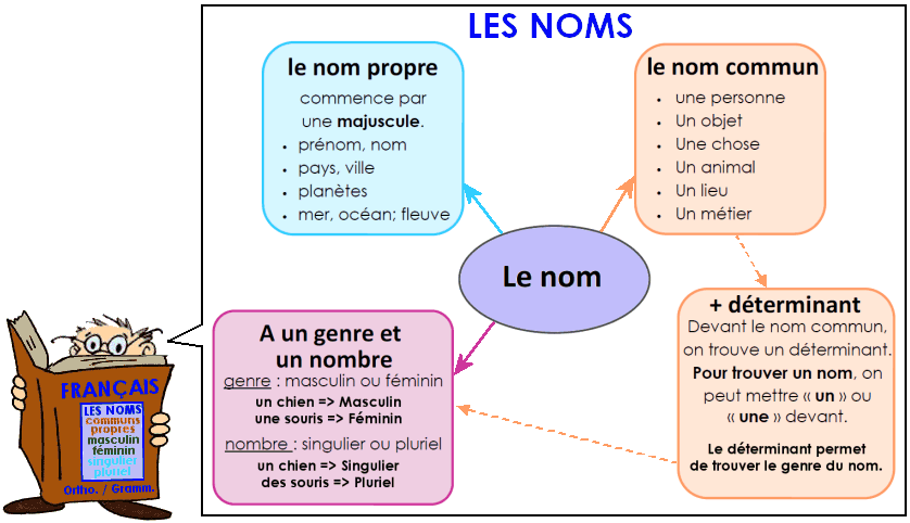 Soutien67 : Français - Grammaire - Les noms