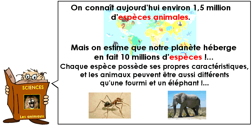 Soutien67 : Reconnaître les animaux
