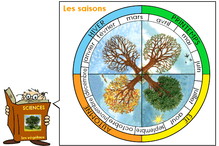 Soutien67 : Les saisons et les végétaux