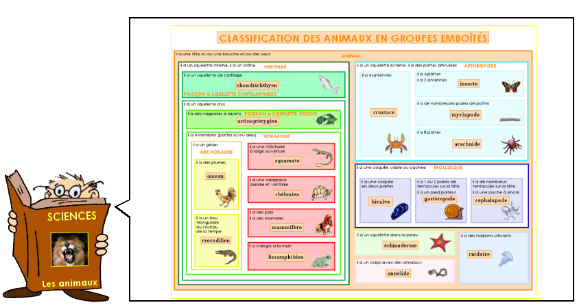 Soutien67 : Sciences - La classification des animaux