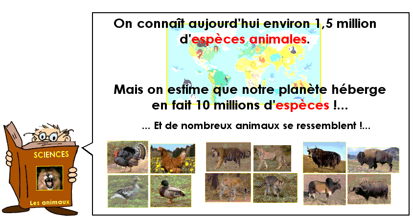 Soutien67 : Sciences - Les animaux
