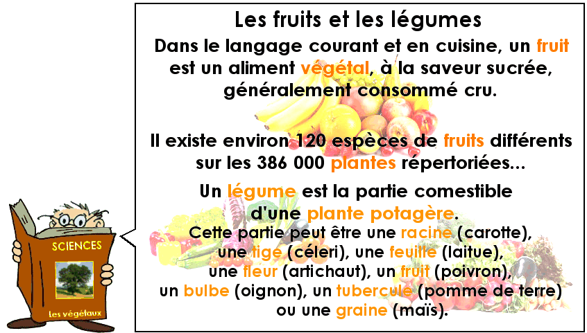 Soutien67 : Sciences - Les végétaux