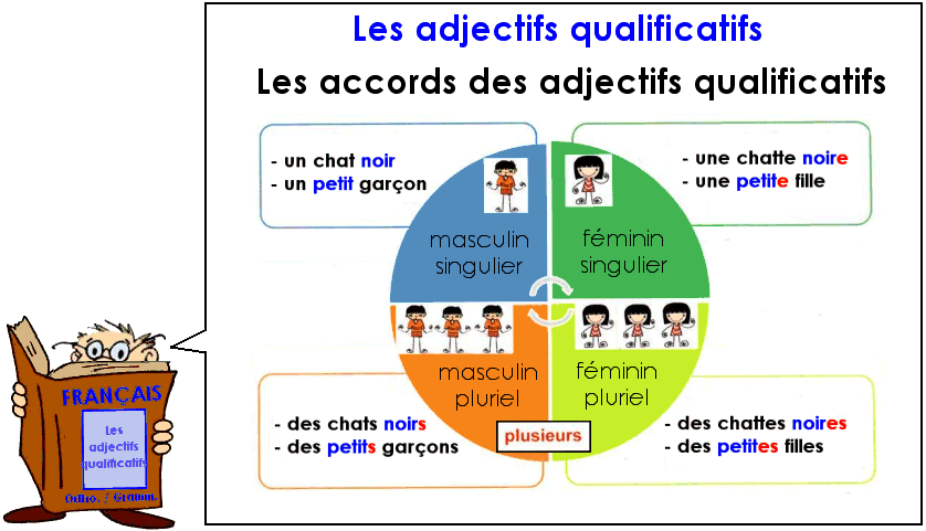 Le genre et le nombre des adjectifs qualificatifs