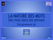 La nature des mots : des mots dans des phrases (4)