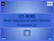 Les noms : Le genre des noms (3)