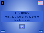 Les noms : Le nombre des noms (1)