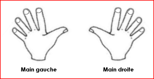 Apprendre la table de 9 avec les doigts