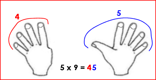 Multiplication avec les doigts : 9 x 5