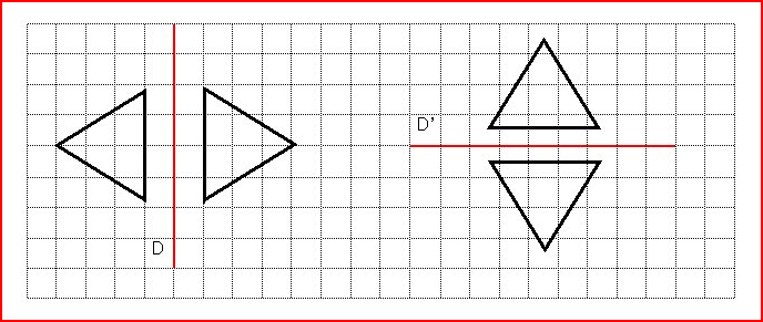 Reproduction par symétrie axiale