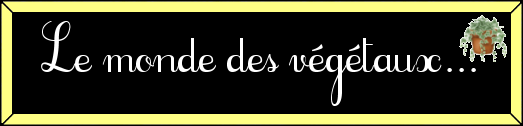 Titre : le monde des végétaux