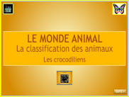 Le monde animal : diaporama - Les crocodiliens