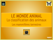 Le monde animal : diaporama - Les mammiferes terrestres