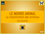 Le monde animal : diaporama - Les bivalves