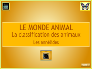 Le monde animal : diaporama - Les annélides