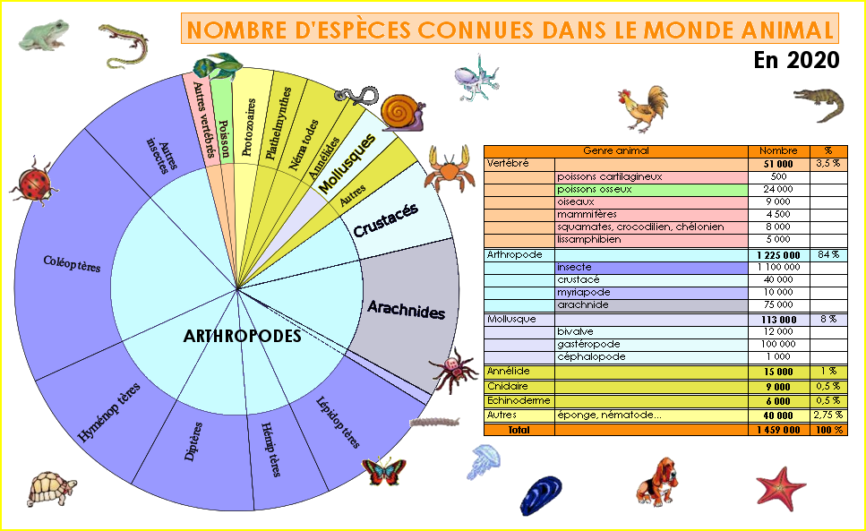 Répartition des espèces animales