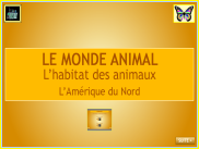 Le monde animal : les animaux en Amérique du Nord