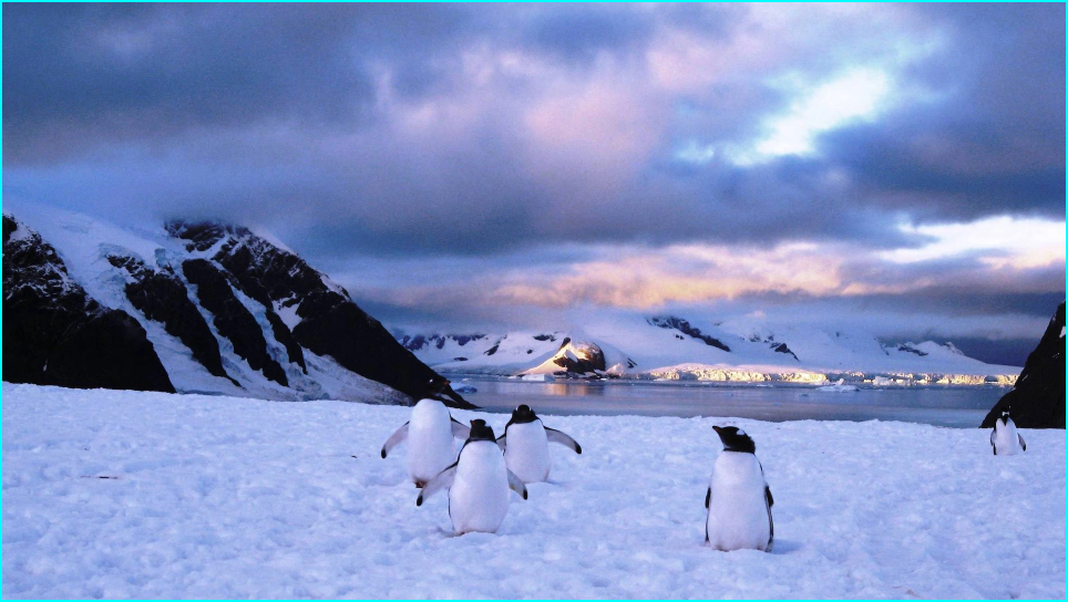 La banquise antarctique