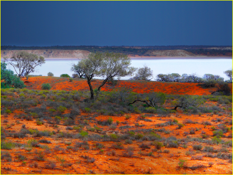 Le bush australien