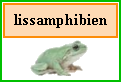 Lien vers les lissamphibiens