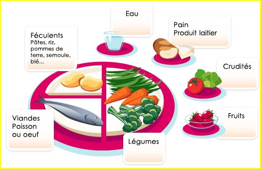 Composition d'un repas équilibré