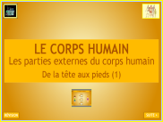 Le corps humain (2)