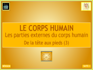 Le corps humain (4)