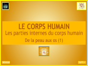 Le fonctionnement du corps humain (1)