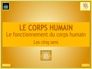 Le fonctionnement du corps humain (4)