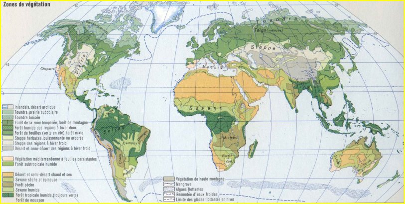 La végétation sur la Terre