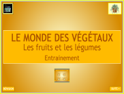 Les végétaux : les fruits et les légumes