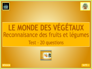 Les végétaux : reconnaissance des fruits et légumes