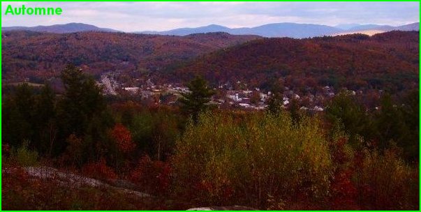 La végétation en automne